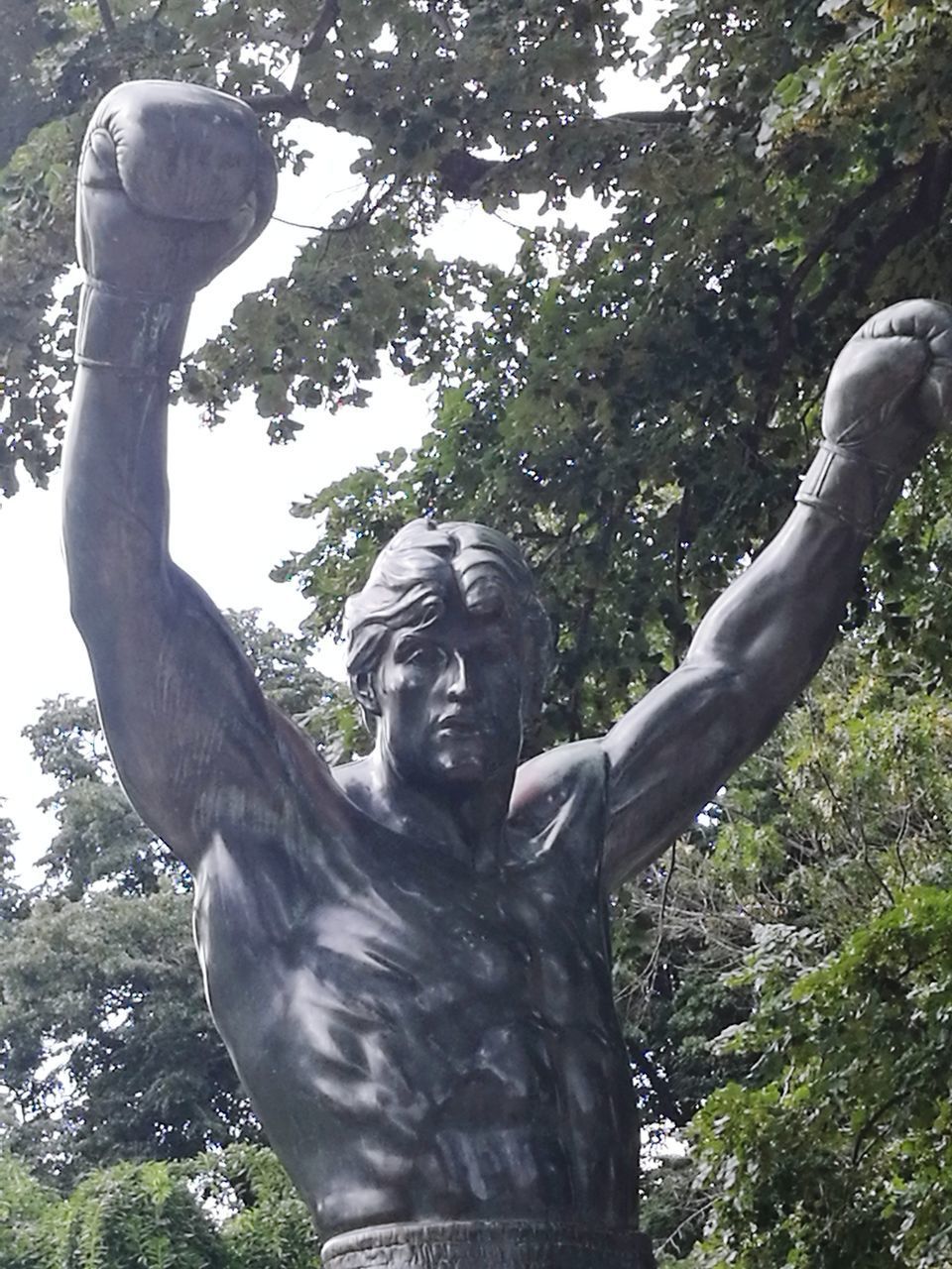 LOW ANGLE VIEW OF STATUE AGAINST TREE IN PARK