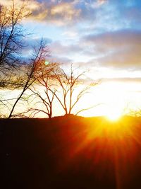 Close-up of silhouette tree against sunset sky