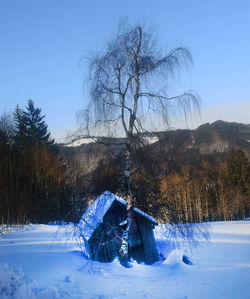 Bare tree on field against clear sky during winter