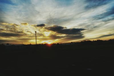 Silhouette of trees at sunset