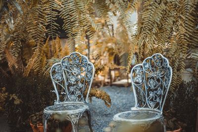 Old empty chairs against plants