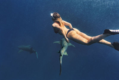 Woman swimming with nurse sharks in deep blue sea