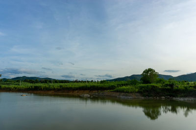 Scenic view of lake by trees against sky