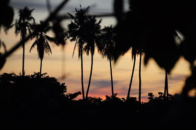 Low angle view of silhouette trees against sky at sunset