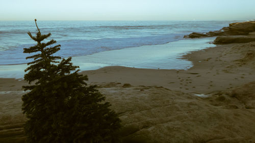 Scenic view of beach against sky