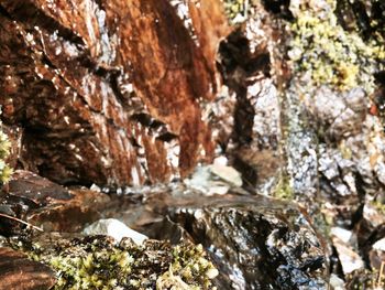 Close-up of rock formations
