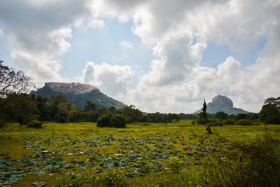 Scenic view of green landscape and mountains against sky