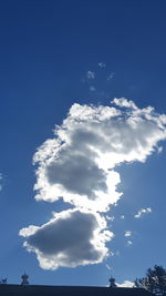 Low angle view of trees against blue sky
