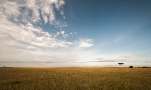 Scenic view of field against sky