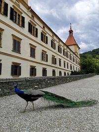 View of a building