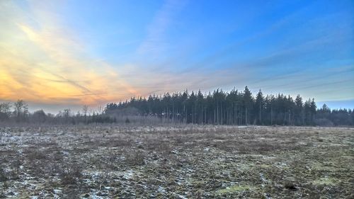 Scenic view of field against sky at sunset