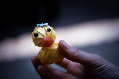 Close-up of a hand holding a bird