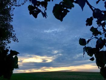 Low angle view of silhouette trees against sky