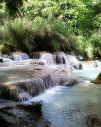 Scenic view of waterfall in forest