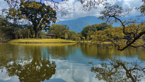 Scenic view of lake by trees against sky