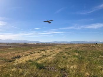 Airplane flying over field against sky