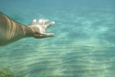 Low section of person in sea