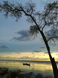 Silhouette tree on landscape against sky during sunset