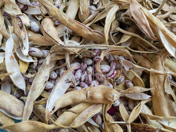 Full frame shot of dried leaves
