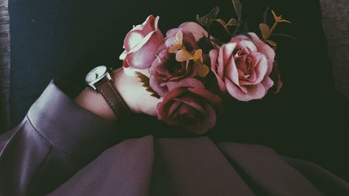 Close-up of hand holding purple flowering plant