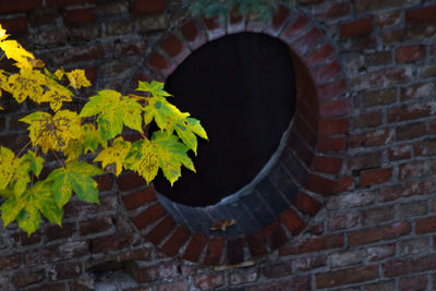 Brick wall with brick wall