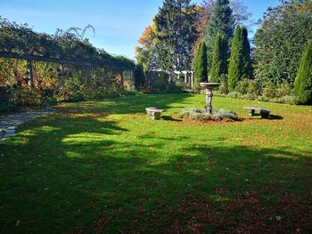 View of sheep on grassy field