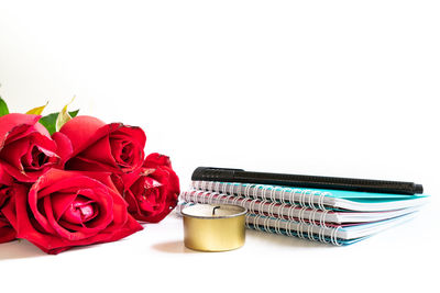 Close-up of red rose against white background