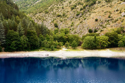 Scenic view of lake by trees in forest