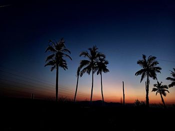 Silhouette palm trees against clear sky during sunset