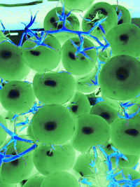 Full frame shot of patterned wall