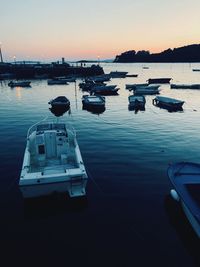 Boats moored in marina at sunset