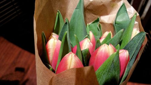 Close up of flowers