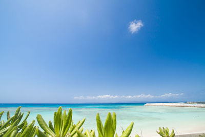 Scenic view of sea against blue sky