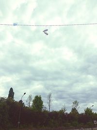 Low angle view of birds perching on cable against sky