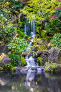 Waterfall in forest