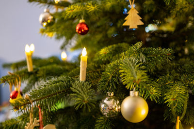 Close-up of christmas tree