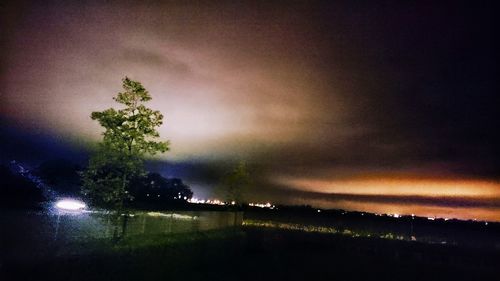 Scenic view of trees against sky at night