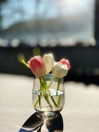 Close-up of roses in vase on table