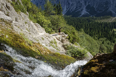 Scenic view of waterfall in forest