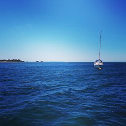 Sailboat sailing in sea against clear blue sky