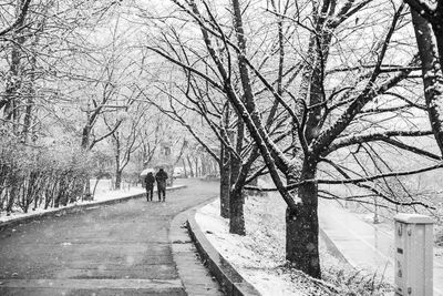 Rear view of people walking on footpath during winter