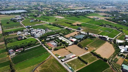 High angle view of agricultural field