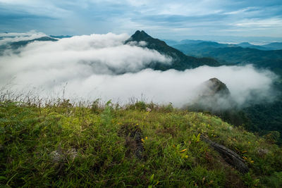 Scenic view of landscape against sky