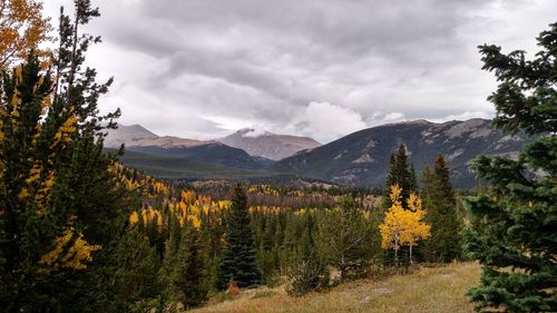 View of trees on landscape against cloudy sky