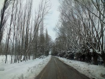 Road amidst bare trees during winter