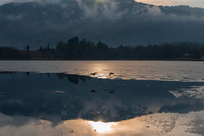 View of birds in lake against cloudy sky