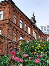 Low angle view of flowering plants by building against clear sky