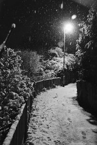 Illuminated street lights at night