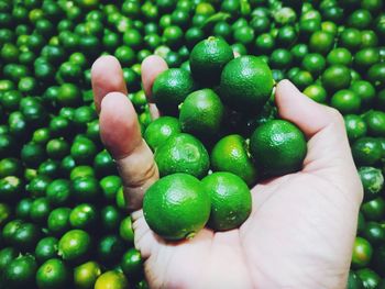 Close-up of hand holding fruit