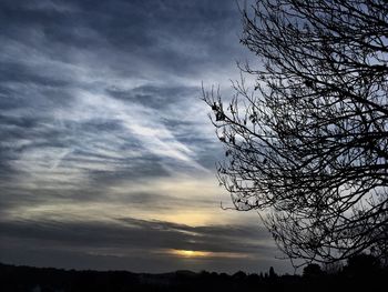 Low angle view of silhouette tree against sky at sunset